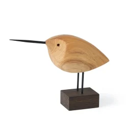 Beak Bird dekoration, Awake Snipe