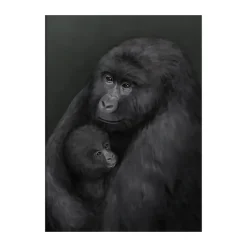 Bergsgorillan poster, 50x70 cm