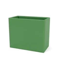 Collect Organizer, parsley 152