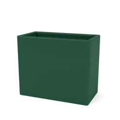 Collect Organizer, pine 136