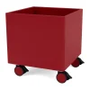 Colour Box I – S6161, Beetroot