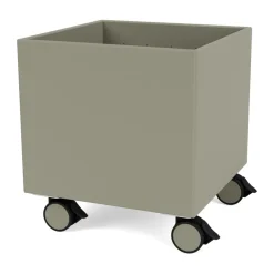Colour Box I – S6161, Fennel