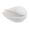 Conch dekoration snäcka, Small