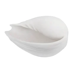 Conch dekoration snäcka, Small