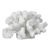 Coral branches white, Small