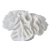 Coral gills, White
