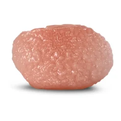 Corallo vas L 15x45 cm, Rosa