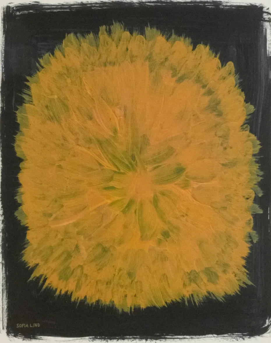 Dandelion poster 40x50 cm, Gul-svart