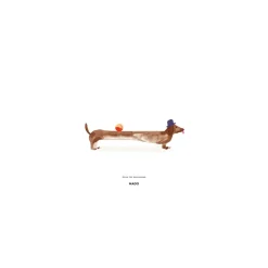 Doug the Dachshund poster, 30x40 cm