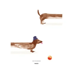 Doug the Dachshund poster, 50x70 cm