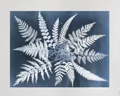 Fern star poster, 40x50 cm
