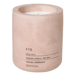 Fraga doftljus 55 timmar, Fig-Rose Dust