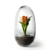 Grow odlingskupa, Medium Ø11 cm