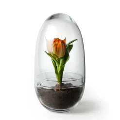 Grow odlingskupa, Medium Ø11 cm