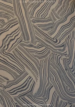 Hoshino utställningsposter, 50x70 cm