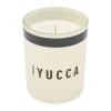 Humdakin doftljus, Yucca