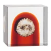 Iittala årskub, 2026
