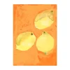 Lemons poster, 30x40 cm