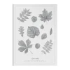 Lövträd blyerts poster, 50x70 cm