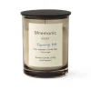 Mnemonic MNC5 doftljus, Turning tide