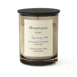 Mnemonic MNC5 doftljus, Turning tide