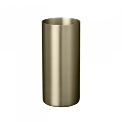 Modo tandborstmugg, Brass