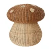 Mushroom korg, Nature