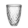 Raspberry vas 160 mm, klar