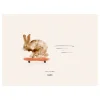 Rocky the Rabbit poster, 30x40 cm