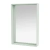 Shelfie colour frame spegel 46,8x69,6 cm, Mist