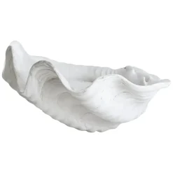 Shell dekoration, Large