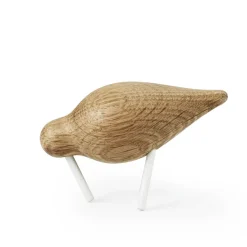 Shorebird ek-vit, liten