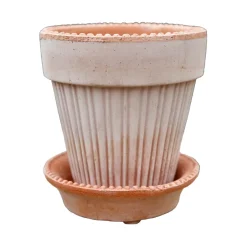 Simona kruka 14 cm, Rosa