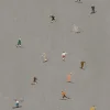 Skiers poster 40x50 cm, Grå