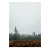 Skog poster, 70 x 100 cm