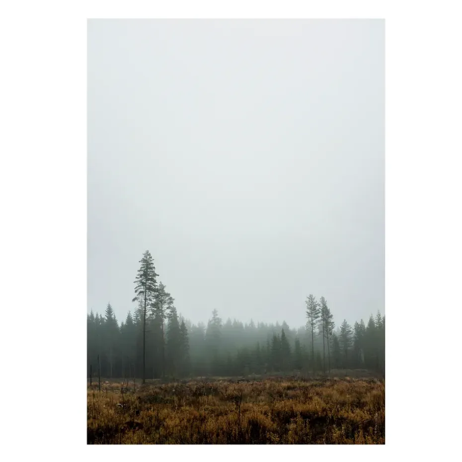 Skog poster, 70 x 100 cm