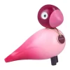 Story bird, Passion