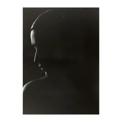 The Silhouette poster, 30x40 cm