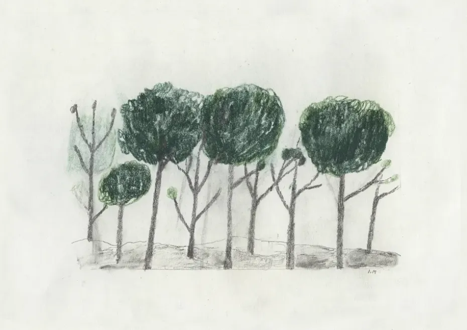 Trees poster 50x70 cm, Svart- off white