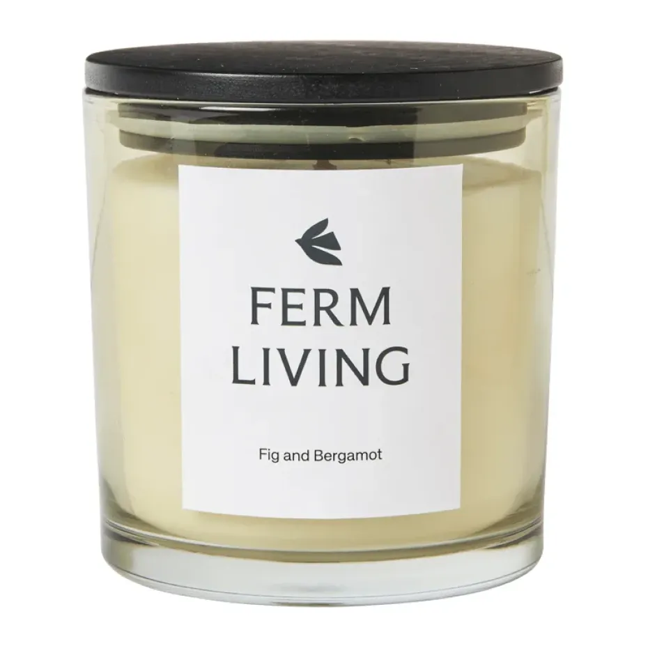 Vitto doftljus 45 h, Light Celedon