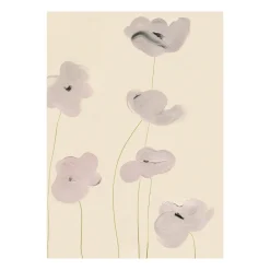 White Vallmo poster, 30x40 cm